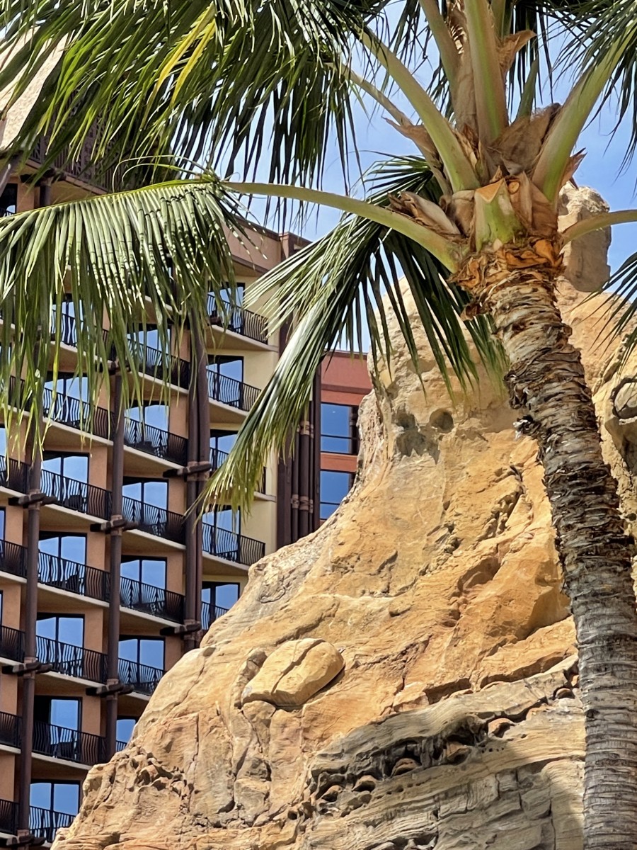 Aulani Volcano Slide Hidden Mickey