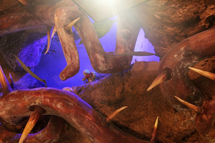 Splash Mountain Briar Patch Store Hidden Winnie The Pooh