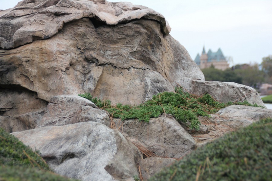 Epcot Japan Pavilion Rock Hidden Mickey