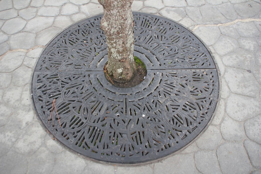 Epcot Japan Pavilion Tree Base Hidden Mickey