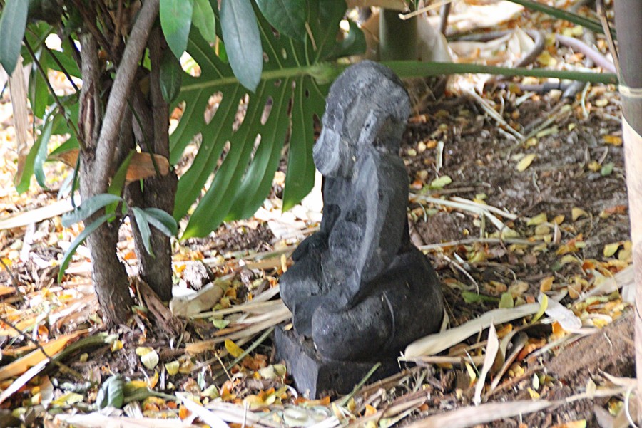 Hidden Menehune Between Lobby and Parking Area