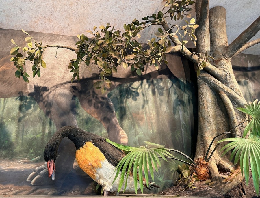 Dinosaur Tree Hidden Mickey