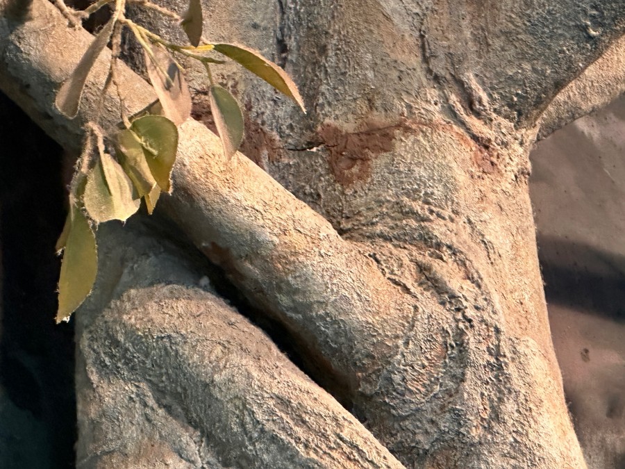 Detail