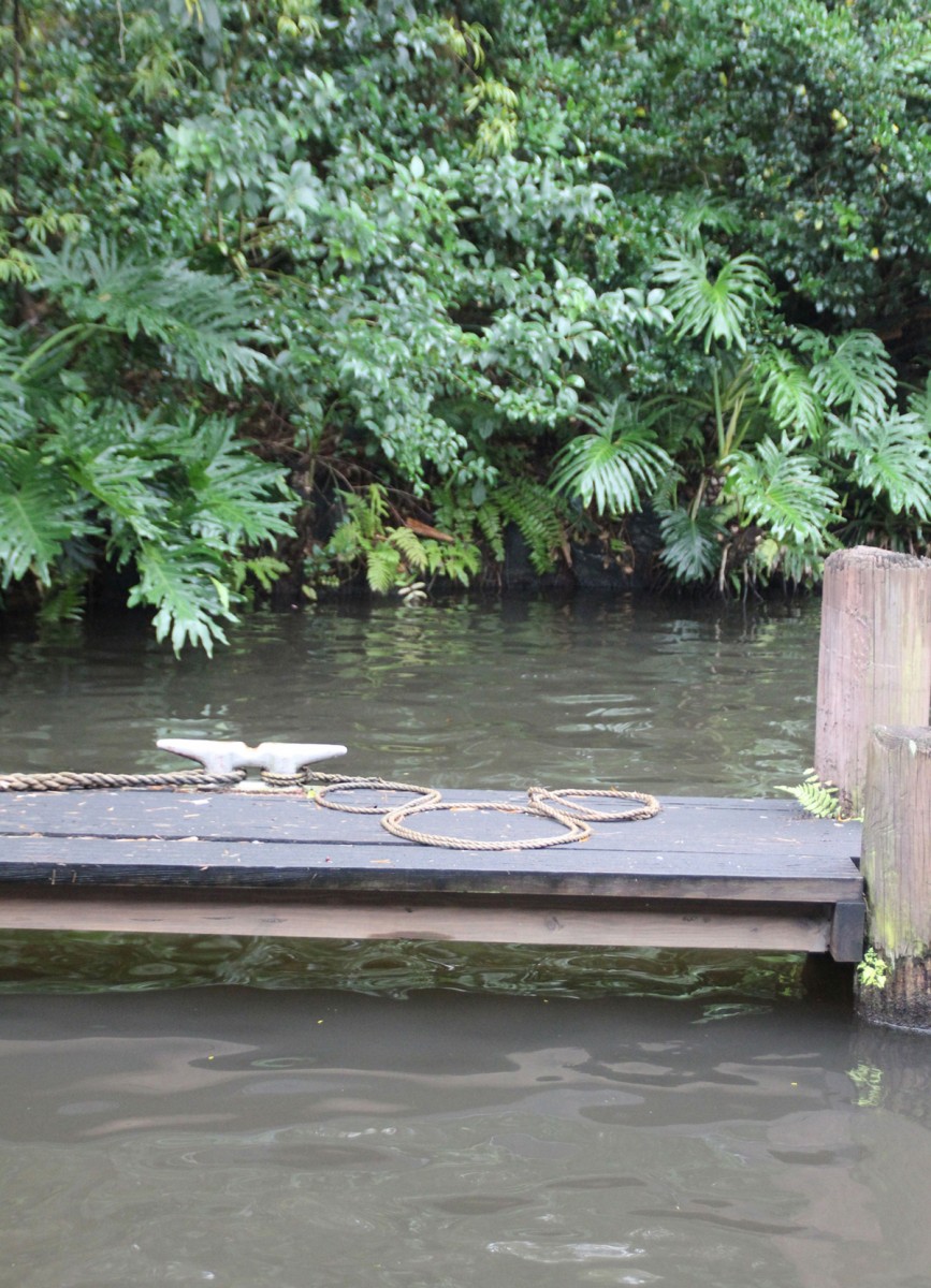Swiss Family Treehouse Hidden Mickey