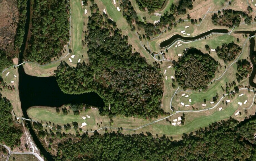 Disney's Magnolia Golf Course Hidden Mickey