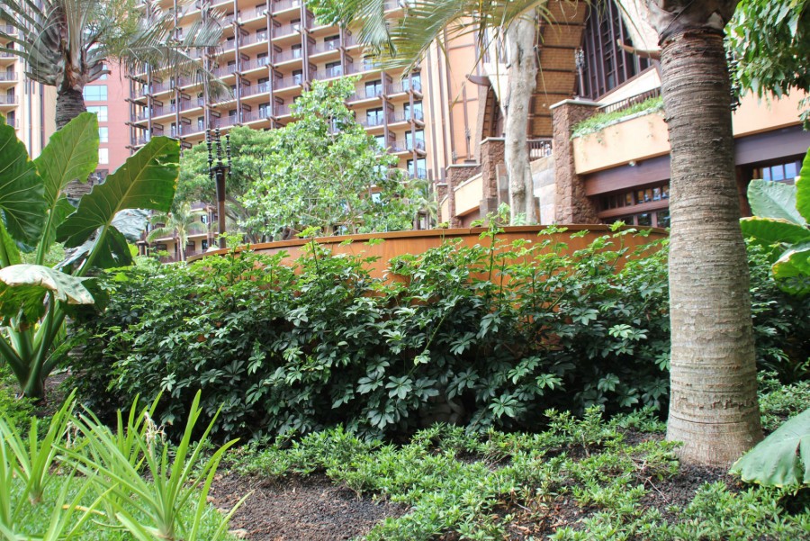 Makahiki Restaurant Hidden Menehune