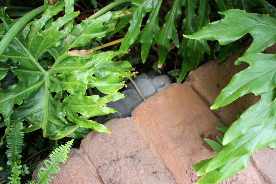 Aulani Hidden Sleeping Menehune 