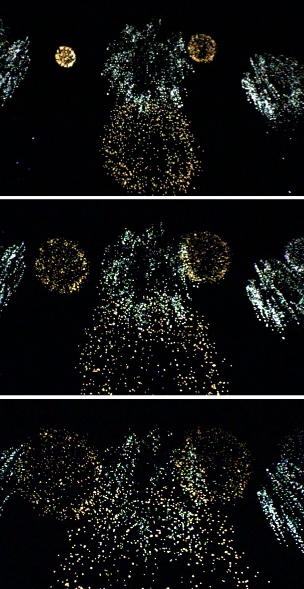 Soarin Fireworks Hidden Mickey