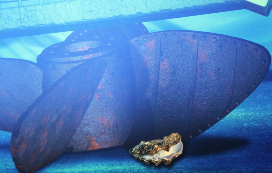 The Living Seas Aquarium Hidden Mickey