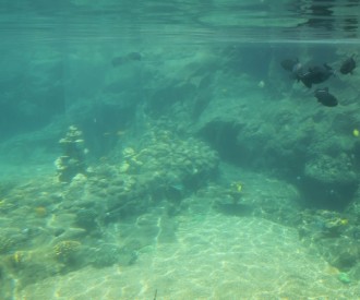 Rainbow Reef Hidden Menehunes