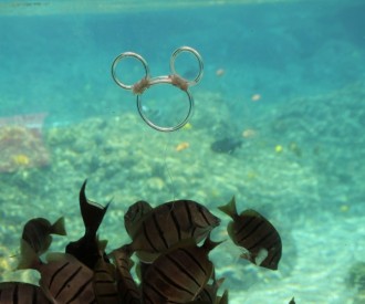 Aulani Underwater Hidden Mickey 