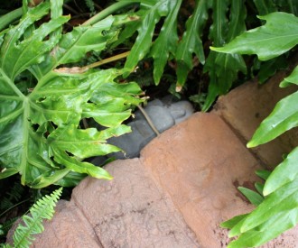 Aulani Hidden Sleeping Menehune 