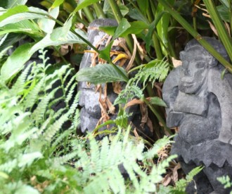 Three Hidden Menehunes